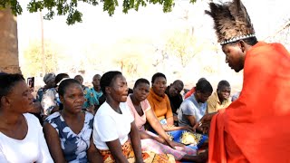 Shumba yengozi Nezvikwambo Chabvondoka pachipinge [upl. by Hteboj512]