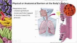 Chapter 12 Host Defenses Part I Overview and Nonspecific Defenses  Cowan  Dr Mark Jolley [upl. by Hunt]