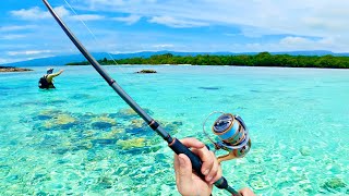 Exploring the Flats with Fishing Rods [upl. by Chadburn]