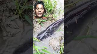 Viral🐬🐬2024fish​ fishing video​ [upl. by Mylo378]