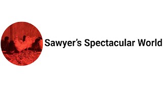 SUBSCRIBE ALERT Sawyers Spectacular World [upl. by Ujawernalo]