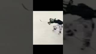 NHL Biggest Hits Part 9 [upl. by Audsley394]