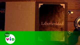 Valorarte I La Laboriosidad  Tele VID [upl. by Bellina194]