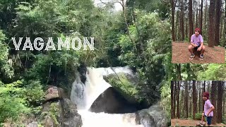 Vagamon Staycation Part 2  Pine forest Waterfall Tea Factory VisitKerala Vacation [upl. by Neirrad]