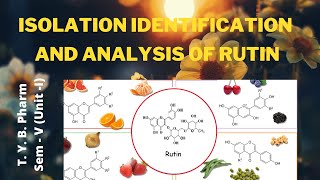 Isolation Identification and Analysis of Rutin [upl. by Olimac479]