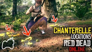 RED DEAD ONLINE Wheres the Chanterelle 8 Locations Found  Daily Challenges  RDO [upl. by Leugimesoj]