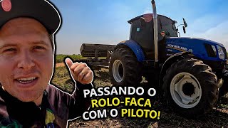 ROLANDO AS ÁREAS DE SORGO COM ROLO FACA NO PILOTO [upl. by Ennaitsirk755]