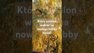 Jaki szablon wybrać na swego hobby horse🐎❤ hobbyhorsing equestrian horse music [upl. by Jenni]