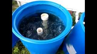 Aquaponics system radial flow filter setup ep 2 [upl. by Toffic]