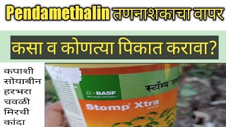 Stomp Xtra HerbicidePreemergence Herbicide Pendamethalin 387 CS Advance Formulationतणनाशक [upl. by Macur513]