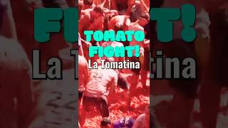 La Tomatina Festival spain tomato [upl. by Any]