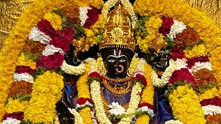 Shree Mahalakshmi Amba Decked in Vaishnavi Alankara [upl. by Nnaharas]