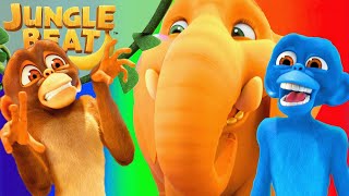 Colorful Animals  Jungle Beat  Cartoons for Kids  WildBrain Zoo [upl. by Sevy870]