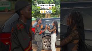 Pikkewyne dance tutorial amapiano music dance dj remix pikkewyne tutorial dancemoves short [upl. by Aisek]