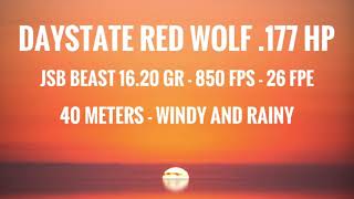 Daystate Red Wolf 177 HP  40 Meters [upl. by Michaeline858]