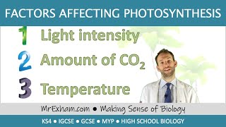 Factors affecting the rate of Photosynthesis  GCSE Biology 91 [upl. by Ailuy]