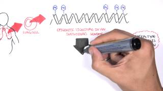 DNA methylation biomarkers  Garvan Institute [upl. by Eyanaj]