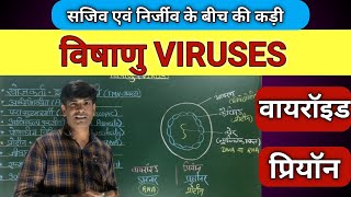 VIRUSES विषाणु।। विषाणु के प्रकार।। वायराॅइड VIROUDS प्रियाॅन PRIONS [upl. by Pruchno435]