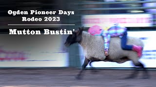 Ogden Pioneer Days Rodeo 2023  Mutton Busting 01 [upl. by Monty82]