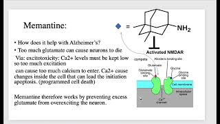 Neuroscience  NMDA receptor amp Alzheimer’s disease [upl. by Belita]