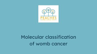 Understanding my tests molecular classification of womb cancer [upl. by Annuhsal]