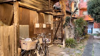 Tokyo Numabukuro walk 4K HDR [upl. by Ezana561]