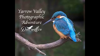 Yarrow Valley Photography Adventure [upl. by Drofiar94]