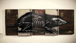 ROA street artist profile film by filmmaker Colin M Day  Warholian [upl. by Ella]