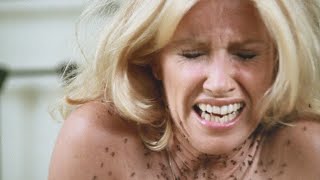 Ants  Ameisen 1977 GERMAN DEUTSCH TRAILER HD [upl. by Anelec]