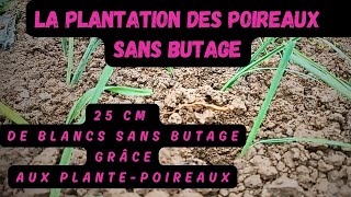 la plantation des poireaux sans butage grâce au plantepoireaux et avec 25 cm de blanc [upl. by Newlin]