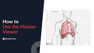 How to use the BioDigital Human Viewer [upl. by Anitsrhc]