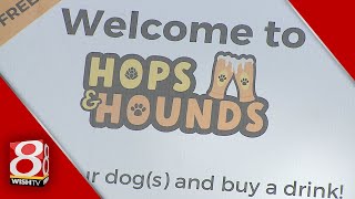 Hops and Hounds community event [upl. by Upali]