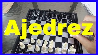 Introducción al Ajedrez  🙂☑️Movimientos de las piezas de Ajedrez  Como Jugar Ajedrez  ajedrez [upl. by Dlanger]