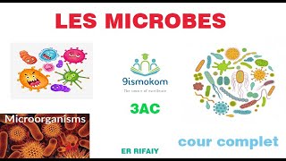 Immunologie Les microbes 3eme année college cour complet [upl. by Jackson]