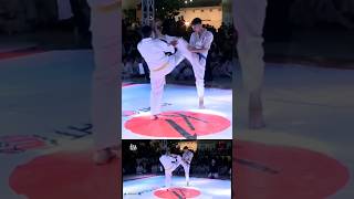 Artofight Punch Kick Attack Kumite Karate artofight fypage KO Kyokushin Fighters shots [upl. by Chantalle241]