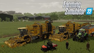 WE GAAN SUIKERBIETEN ROOIEN  WASSEN EN SNIJDEN  Farming Simulator 22 G29 [upl. by Lindy]