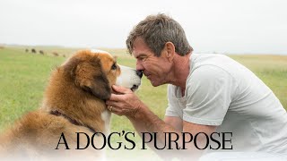 A Dog’s Purpose 2010 Movie  Britt RobertsonKJ ApaJohn Ortiz  Fact amp Review [upl. by Etsirhc]