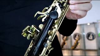 ELKHART 300 SERIES soprano sax black  80124 [upl. by Icak]