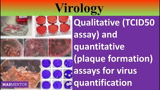 Qualitative TCID50 and quantitative plaque assay assays for virus quantification UrduHindi [upl. by Repsaj]