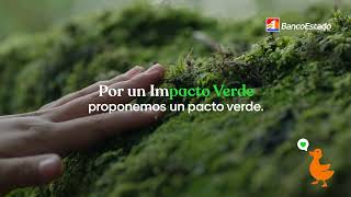 Impacto Verde 15 BancoEstado [upl. by Phineas]