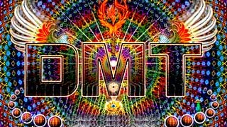 DMT by ♫ Anxioüs ♫ a Progressive Mix Best of Neelix with awesome visual effects [upl. by Iolenta799]