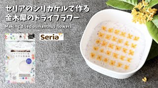 セリアのシリカゲルを使った金木犀のドライフラワーの作り方  How to make dried flowers of osmanthus【Seria】 [upl. by Elocal509]