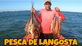 PESCA DE LANGOSTA ESPINOSA GIGANTE Y MERO CABRILLA [upl. by Snodgrass55]