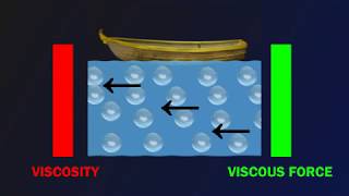 Understanding Viscosity and Viscous Force [upl. by Nuhs847]