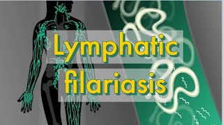 Lymphatic filarial worms [upl. by Gillespie838]