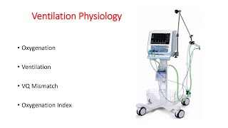 Ventilation physiology I Neonatologist I NICU I [upl. by Maury]