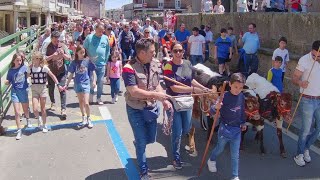 Bueyada infantil Tauro Tormes en Vitigudino [upl. by Meeharbi663]