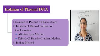 Plasmid DNA Isolation MethodsAlkaline lysis EtBrCsCl density gradient Isolation on basis of Size [upl. by Yordan395]