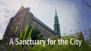 Hamline Church Sanctuary for the City [upl. by Grover]