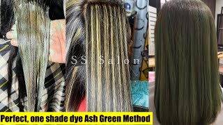 Ash Green base colour  one shade dye hair colour ash green highlights by SS Salon haircolor [upl. by Richmond]